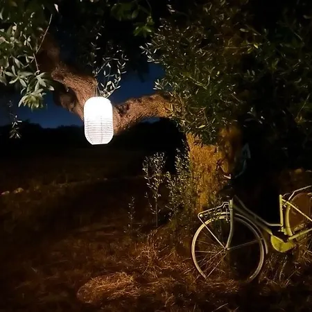Filou בית נופש *