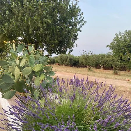 Filou Holiday home